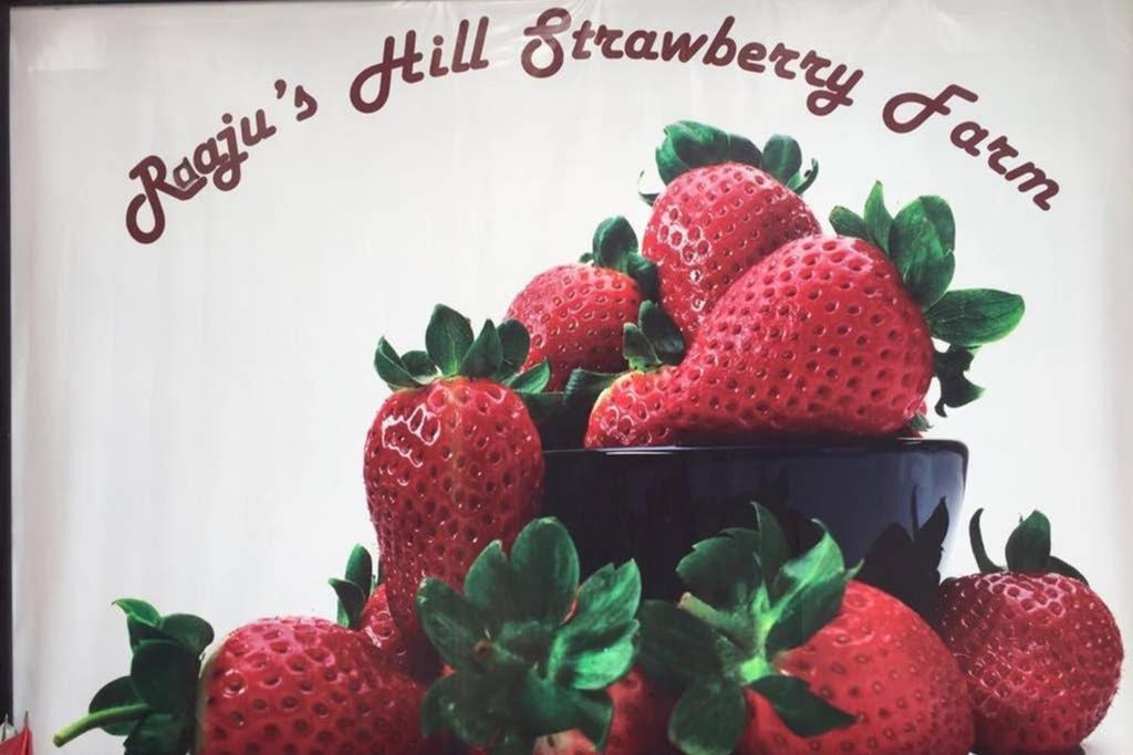 Lily Homestay Barrington Square Cameron Highlands. บรินชัง ภายนอก รูปภาพ