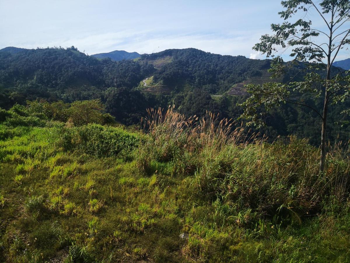 Lily Homestay Barrington Square Cameron Highlands. บรินชัง ภายนอก รูปภาพ